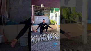 AS MELHORES TARRAFADAS: os ninjas da pesca artesanal 🥷