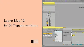 Learn Live 12: MIDI Transformations