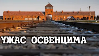 Освенцим лагерь смерти. Аушвиц и Биркенау. Konzentrationslager Auschwitz und Birkenau.