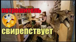 Новички пожаловали//Перестройка в птичнике//Хозяйство