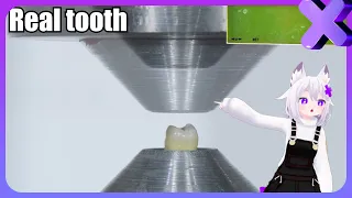 Filian Reacts to Dangerous and Strongest Hydraulic Press Moments