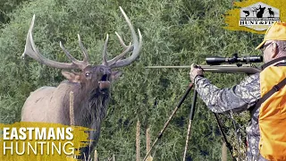 Colorado Elk - A Once In A Lifetime Hunt!