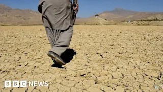 Pakistan faces hottest summer in decades - BBC News