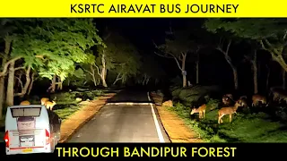 KSRTC AIRAVAT B9R BUS JOURNEY THROUGH BANDIPUR FOREST | Mudumalai Tiger Reserve🐯