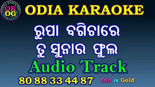 Rupa Bagichare Tu Sunara Phula Karaoke Track Sample