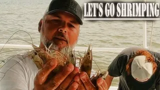 HUGE HAUL OF SHRIMP... Commercial Shrimp Trawling on a small boat