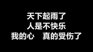 张学友 - 《我真的受伤了》 [歌词]