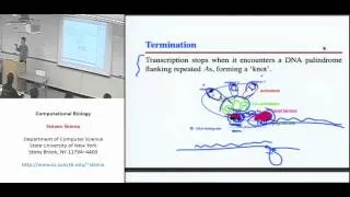 Lecture 13 - Introduction to Gene Finding