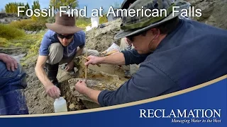 Fossil Find at American Falls