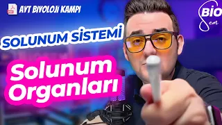 Solunum Sistemi-1 | Ayt Biyoloji Konu Anlatımı 11. Sınıf | 2024