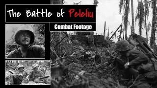 The Battle of Peleliu: Combat Footage