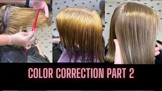 HAIR COLOR CORRECTION! Part 2