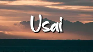 Tiara Andini - Usai (Lirik) - Mix Playlist