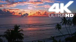 Hermosos Cielos y Atardeceres en 4K Ultra HD