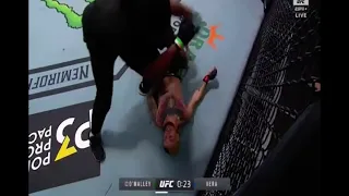 Marlon ‘ Chito ‘ Vera finishes Sean O’Malley with Vicious Elbows