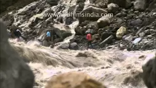 Worst of the Uttarakhand floods: a compilation of frightening imagery