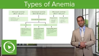 Anemia: Microcytic, Normocytic & Macrocytic Type – Hematology | Lecturio