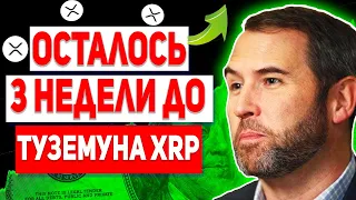 XRP ВЗОРВЕТСЯ В ТЕЧЕНИЕ СЛЕДУЮЩИХ 3 НЕДЕЛЬ!!! ПОЧЕМУ RIPPLE ГОТОВ ЗАМЕНИТЬ SWIFT! 2024 ПРОГНОЗ РИПЛ