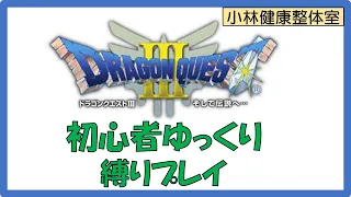 【Dragon Quest3 SFC】縛りプレイ、勇者なし＋姉妹の旅　ラダトーム～マイラ　※ネタバレあり