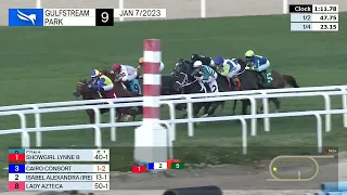 Gulfstream Park Carrera 9 (The Ginger Brew Stakes) - 7 de Enero 2023