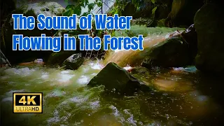 🔴 Natural Sounds Waterfall Meditation Relaxation River | Calming Forest River Water Flow, ASMR