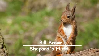 Bill Brown - Shepard's Flute