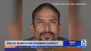 Claremont police searching for stabbing suspect