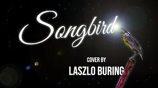 Fleetwood Mac - Songbird (Laszlo Buring cover)
