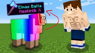 minecraft AMA koyun kırpmak efsanevi eşya veriyor!