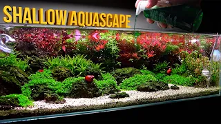 SHALLOW Aquascape - A HIGH TECH NANO AQUARIUM