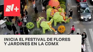 Festival de Flores y Jardines inicia en la CDMX - En Punto