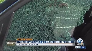 At least 25 car break-ins overnight at West Palm condo complex