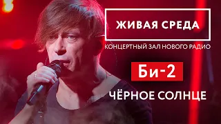 БИ-2 — Черное Солнце // Живой звук на Новом Радио