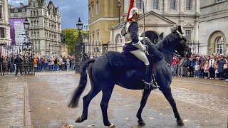 Changing of the Guards in the RAIN