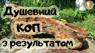 Коп в лісі. ДОРВАВСЯ ДО МЕТАЛОШУКАЧА. Знайшов середньовічну СОКИРУ.  Пошуки з ХР Деус в Україні