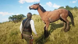 COMO DOMESTICAR CABALLOS | RED DEAD REDEMPTION 2