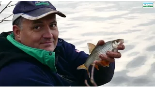 Roach On The Waggler in Winter