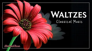 The Best Waltzes In Classical Music - Chopin Schubert Strauss Joplin Tchaikovsky