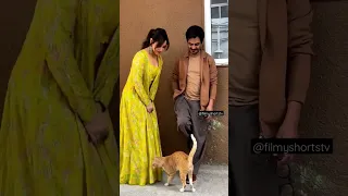 Neha sharma and Nawazuddin Siddiqui having fun with little cat|#nehasharma #nwazudin #viral #sweet