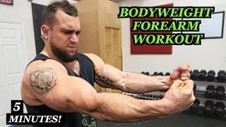 Intense 5 Minute At Home Forearm Workout #2