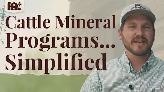 Redmond Cattle Mineral Supplements