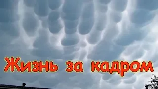 Жизнь за кадром. Обычные будни. (часть 198) (06.19) Семья Бровченко.