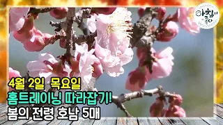 따라해봐요! 홈트레이닝, 그리고 봄을 알리는 호남 5매 | 아침이 좋다 | 04월 02일