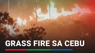 Grass fire sa Cebu | ABS CBN News