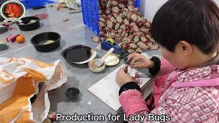 How to Make fireworks---Ladybugs?