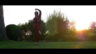 Luohan Qigong 13