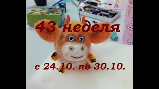 43 неделя 2021г