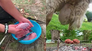 Lamb TESTICLES on camp Fire! OMG, FIRST TRY...