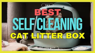 🔥 Best Self Cleaning Cat Litter Box in 2024 ☑️ TOP 5 ☑️