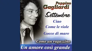 Un amore grande